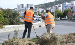 Kuşadası Belediyesi’nden çevreye duyarlı peyzaj uygulaması