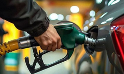 Mazota dev zam yolda