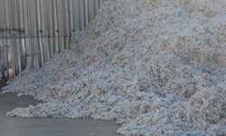 Pamuk üreticisinin “fiyat” kabusu