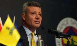 Sadettin Saran'dan, Aydın incirine övgü