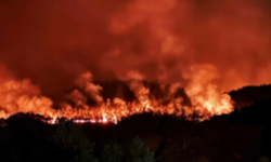 Aydın'da orman yangını paniği: Ekipler seferber oldu