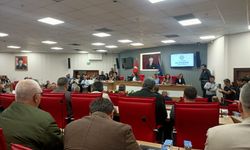 Meclisten Koçarlı’ya umutlandıran söz