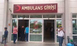 Nazilli’de kahreden olay: Zeytin toplarken düşen adamın durumu ağır