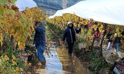 İşçiler yağmur ve çamuru aldırış etmeden üretime devam ediyor