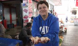 Bozdoğanlı pazar esnafı zor günlerini çalışarak hafifletiyor