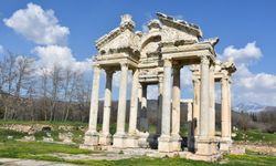 Afrodisias Antik Kentindeki zeytinler için ihale yapılacak