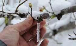 Aydınlı üreticilere önemli uyarı