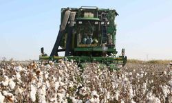 Aydın İl Tarım Müdürlüğü’nden üreticilere önemli hatırlatma