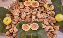 Aydın’da kestane ve incir festivali yapılacak