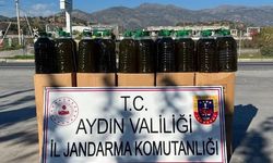 Aydın’ın zeytinyağına gölge düşürdüler