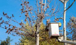 Aydınoğulları’ndan günümüze uzanan manevi miras temizlendi