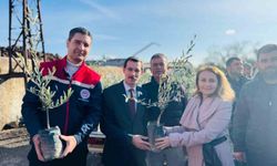 Bozdoğan’da 8 bin 700 adet fidan dağıtıldı