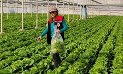 Buharkent’te sağlıklı gıda için pestisit denetimi