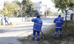 Çine’de sahaya inen ekipler temizlik ve bakım çalışması yaptı