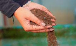 Didim Belediyesi’nden örnek proje: Pazar atıkları komposta dönüşüyor