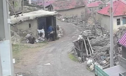 Karısını yerde tekmelemişti: Hapsi boyladı