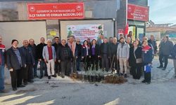 Germencikli üreticilere 4 bin fidan dağıtıldı