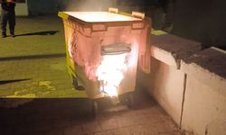 Germencik'te panik yaratan yangın: Cayır cayır yandı