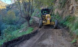Başkan Anıl Yetişkin’den çiftçilere yol desteği
