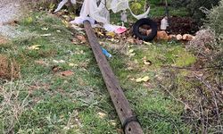 Karacasu'da ahşap direkler rüzgara dayanamadı: Mahallede elektrikler kesildi