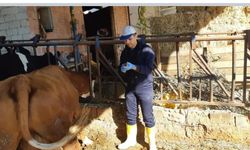 Karacasu'da bu kurallara uymayanlara 105 bin lira ceza kesilecek