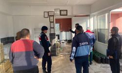 Karacasu'da sıkı denetim