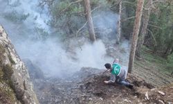 Karacasu'da kış günü orman yandı: Ekipler seferber oldu
