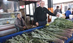Aydın'da karaciğer dostuna yoğun ilgi