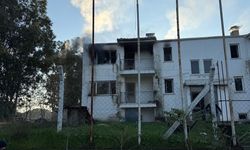 Koçarlı'da korkutan yangın!