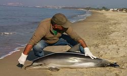 Kuşadası'nda yürek burkan manzara