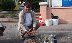 Bozdoğan'da yetişiyor: Lezzeti cezbediyor, toplaması dikkat istiyor