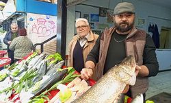 Nazilli balık pazarında yılbaşı hareketliliği