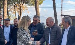 Nazilli kestaneye doyacak: 4 bin fidan üreticiye emanet edildi