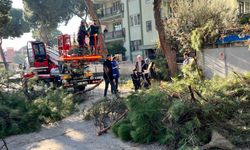 Nazilli Yeni Mahalle’de temizlik harekatı: Muhtar Erbil Tetik’e teşekkür etti