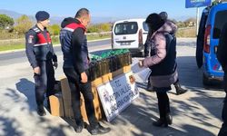 Otobüs bagajından 400 litre kaçak yağ çıktı