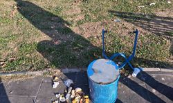 Aydın'da vandallar tespit edilecek