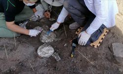 Aydın’da iki bölge birinci derece arkeolojik alan ilan edildi