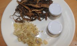 Aydınlılar, şifayı bu üründe arıyor