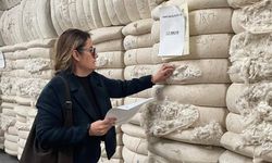 Söke’den yurt dışına gidecek ham pamuklar denetlendi