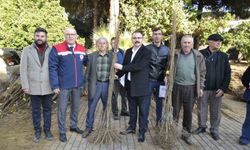 Sultanhisar'da üreticilere fidan desteği