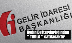 Aydın Defterdarlığından '' TARLA '' satılacaktır.