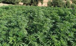 İzmir’deki uyuşturucu operasyonunda Nazillili iş insanı alındı