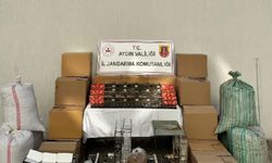 Aydın'da tütün kaçakçılarına operasyon: 2 gözaltı