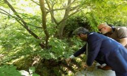 Karacasu’daki köprü cinayetinde 8 yıl sonra karar çıktı