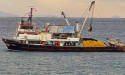 Yağış balıkçıları da vurdu; tekneler kıyıda kaldı