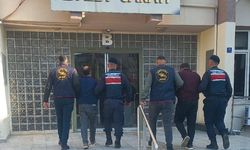 Aydın'da 400 kilo zeytin çalan hırsızlar yakalandı