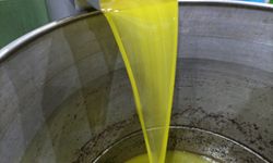 Zeytinyağının maliyeti arttı, fiyatı düştü