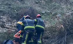 Otomobil uçuruma yuvarlandı; 2'si çocuk 5 yaralı