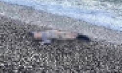 Kahreden görüntü: Deniz kıyısında çocuk cesedi