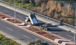 Aydın Büyükşehir Belediyesi’nden Acarlar-Şehir Hastanesi yolunda peyzaj düzenlemesi